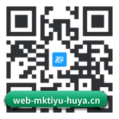 系统版 iOS 二维码